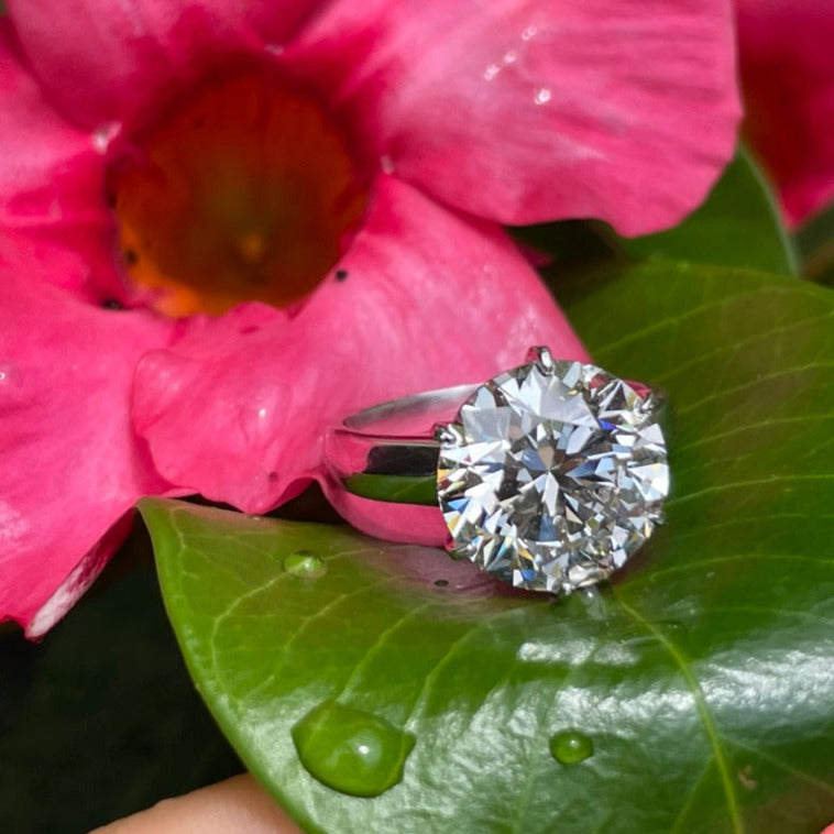 Diamond Wish 14k White Gold Round Solitaire Diamond Engagement Ring (1/4  carat TW, J-K, I1-I2) 4-Prong Set, Size 4 | Amazon.com