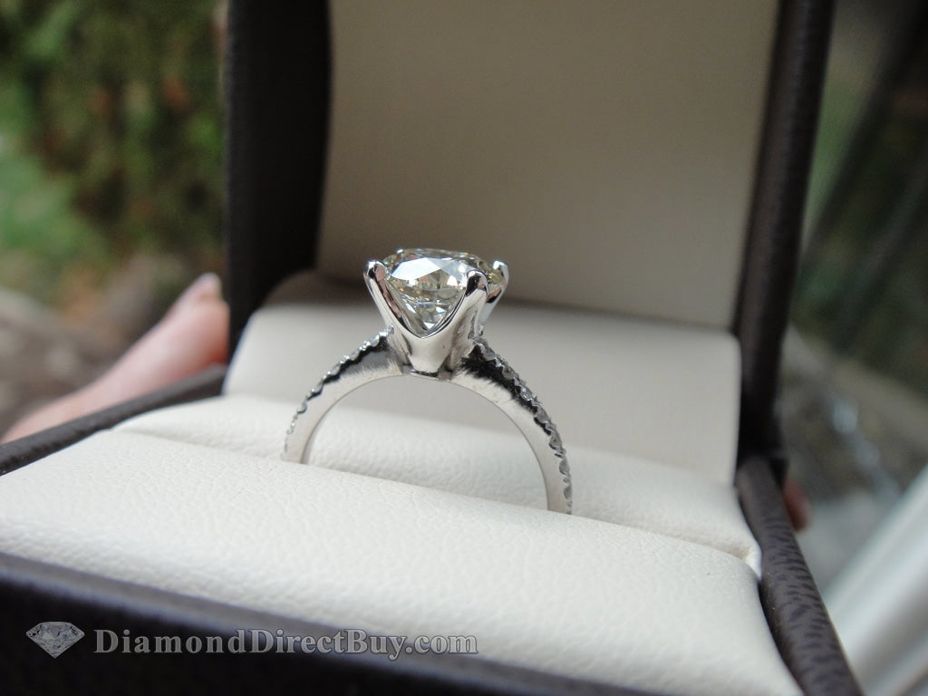 Pave Diamond Band Solitaire Engagement Rings
